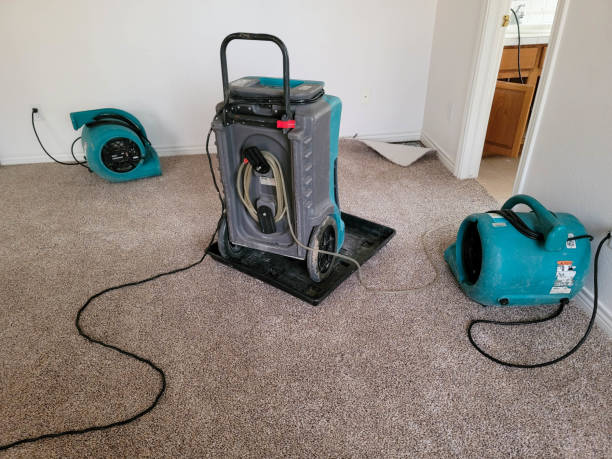 Best Commercial water damage restoration  in St Andrews, SC