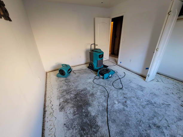 Best Basement water damage restoration  in St Andrews, SC