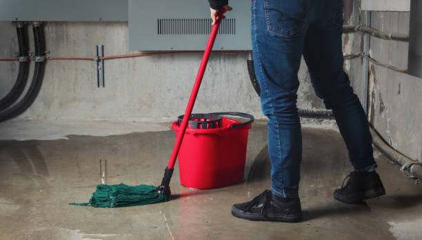 Best Professional water damage repair  in St Andrews, SC