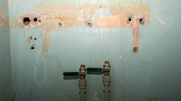 Best Water damage contractors near me  in St Andrews, SC