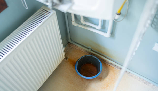 Best Ceiling water damage repair  in St Andrews, SC