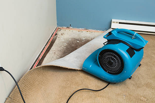 Best Flood restoration services  in St Andrews, SC